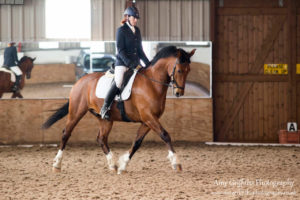 Mill Lane Stables Winter Dressage Point Series Championship