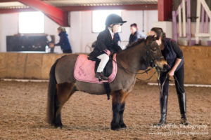 Mill Lane Stables Winter Dressage Point Series Championship