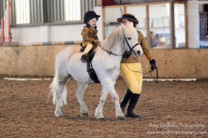 Mill Lane Stables Winter Dressage Point Series Championship