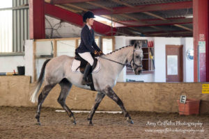 Mill Lane Stables Winter Dressage Point Series Championship