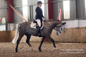 Mill Lane Stables Winter Dressage Point Series Championship