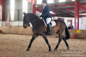 Mill Lane Stables Winter Dressage Point Series Championship