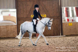 Mill Lane Stables Winter Dressage Point Series Championship