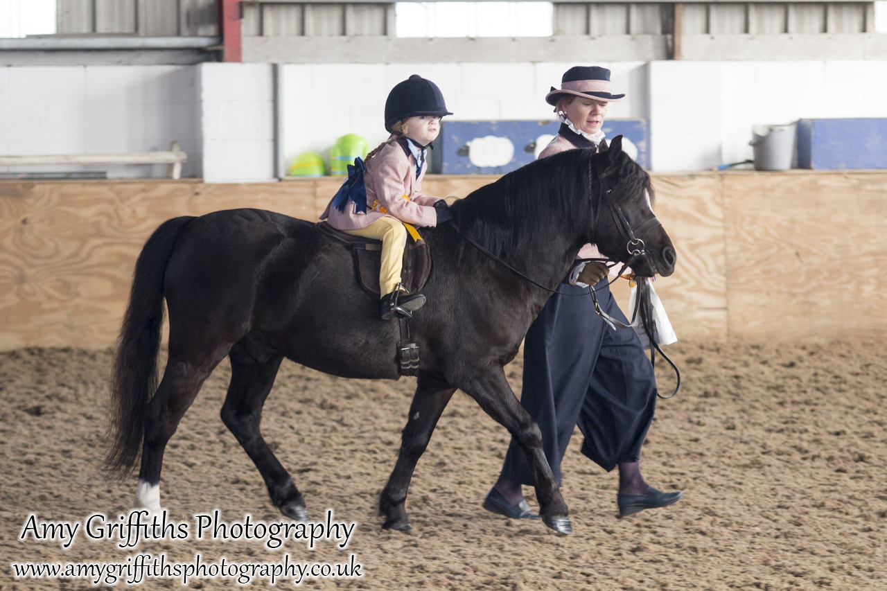 BSPS Area 3a Junior Show