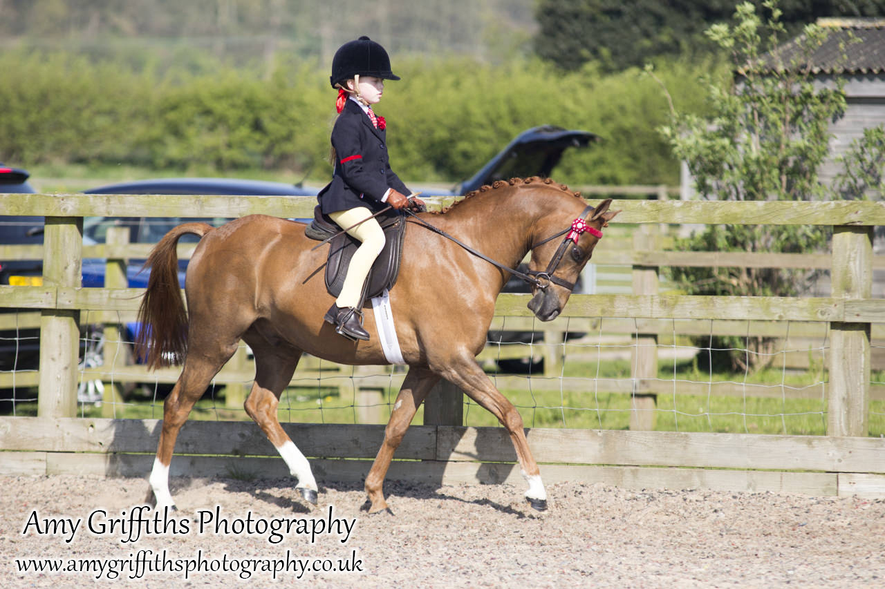 BSPS Area 3a Junior Show