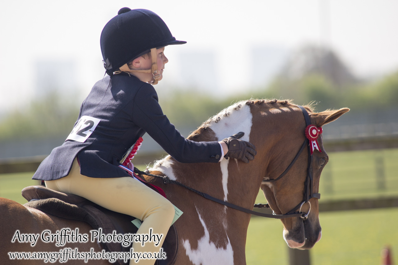 BSPS Area 3a Junior Show