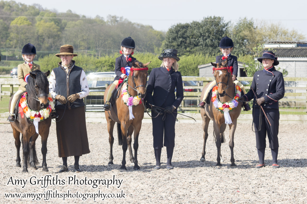 BSPS Area 3a Junior Show