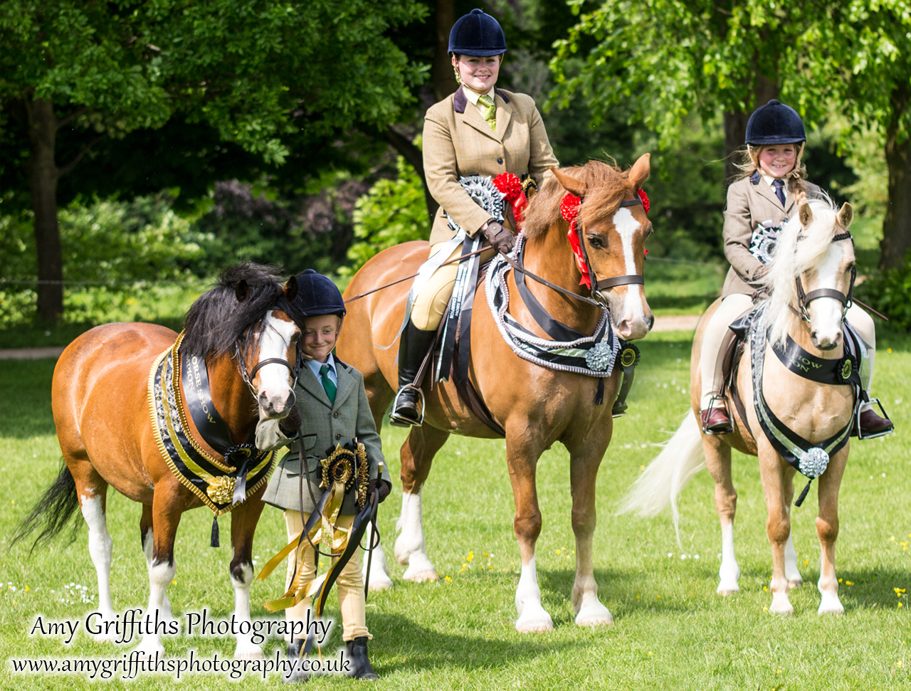 Hornsea Horse and Dog Show Day 1- Amy Griffiths Photography