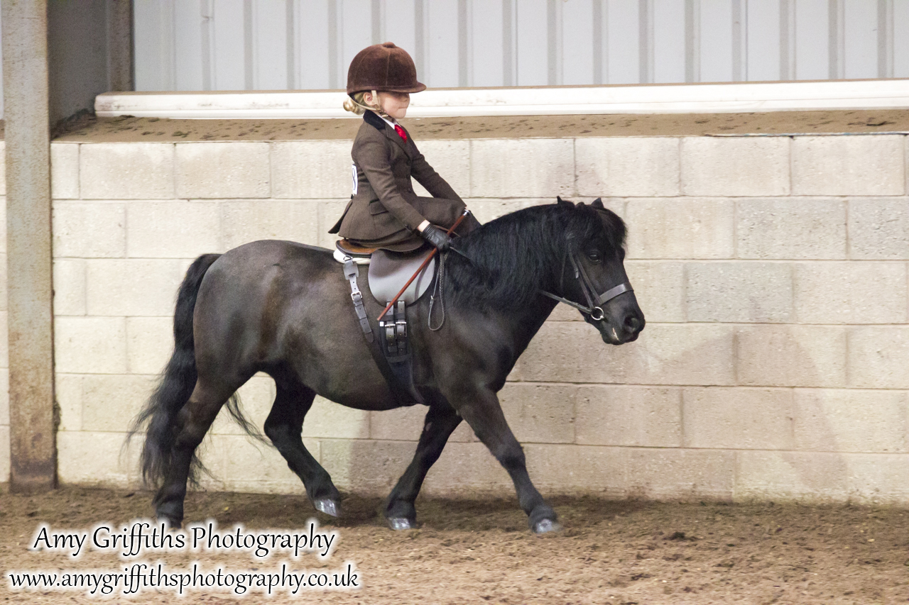 Amateur of the Year Show 2017 Day 2 Ridden- Amy Griffiths Photography