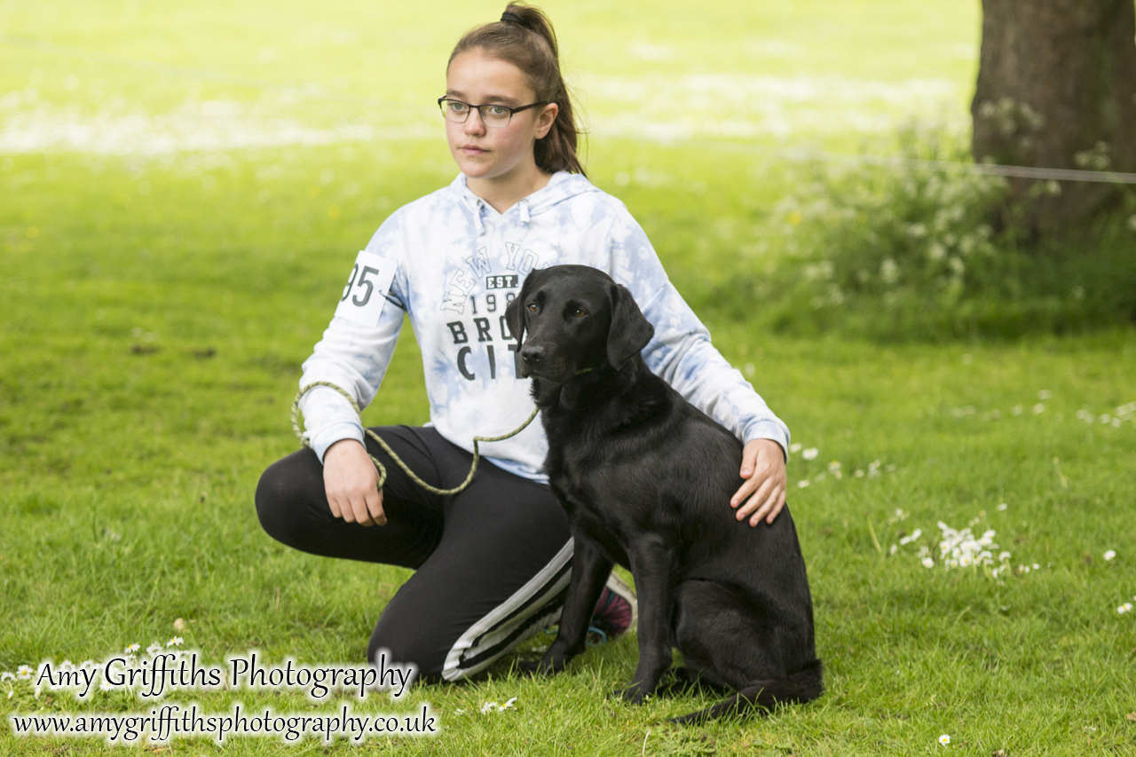 Hornsea Horse and Dog Show Day 1- Amy Griffiths Photography