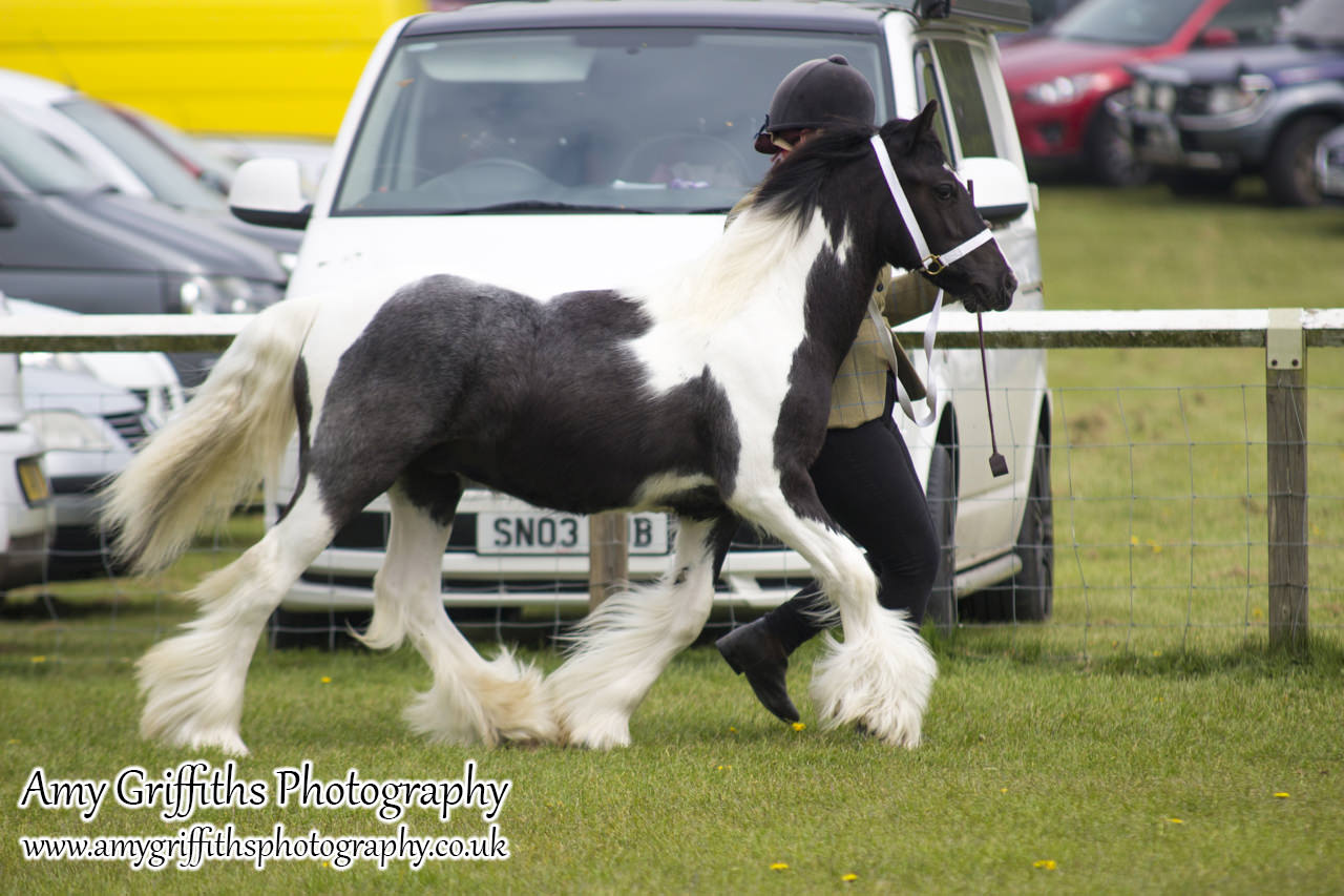 East Riding Country Fair- Day 1