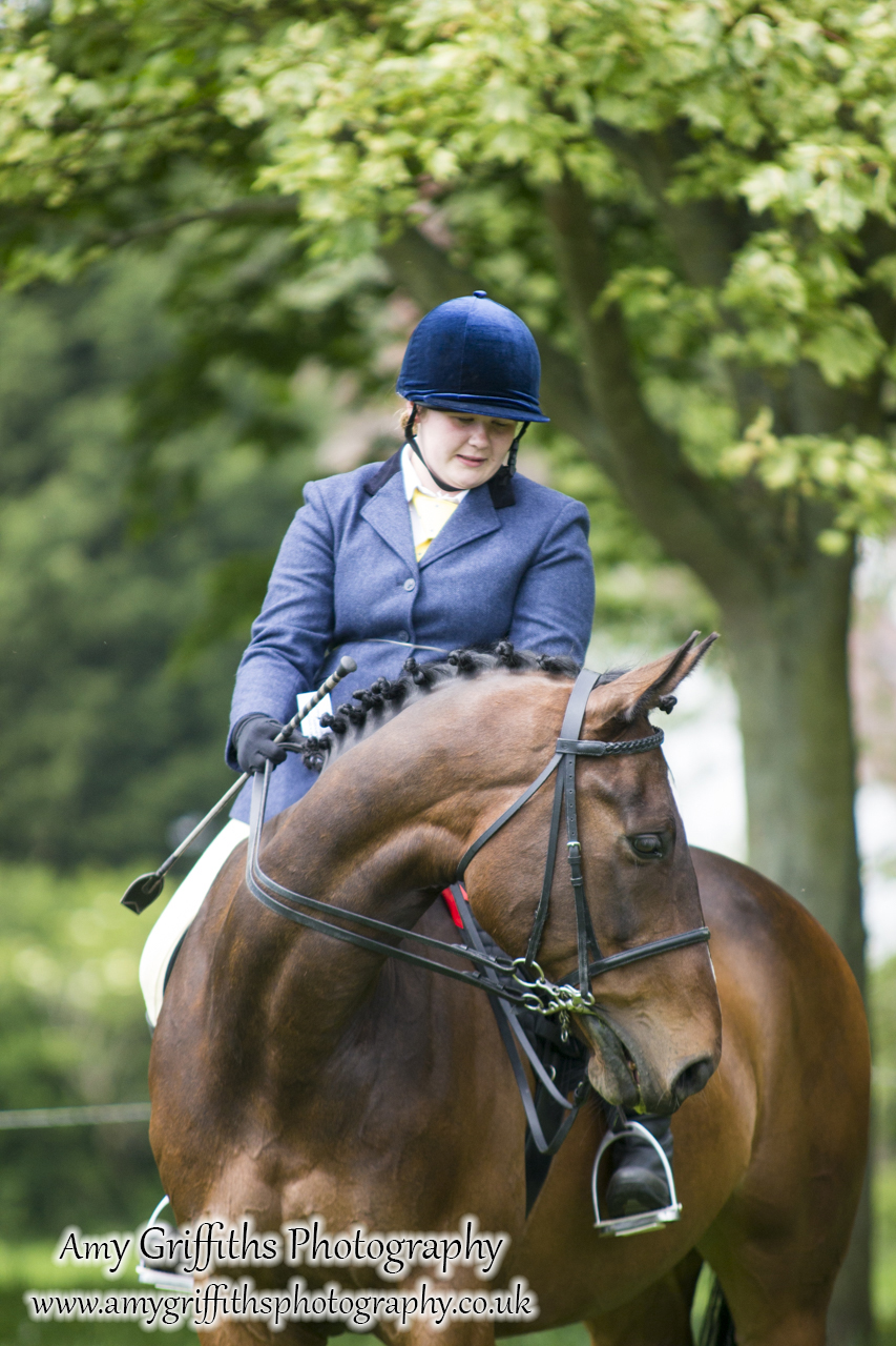 Hornsea Horse and Dog Show Day 1- Amy Griffiths Photography