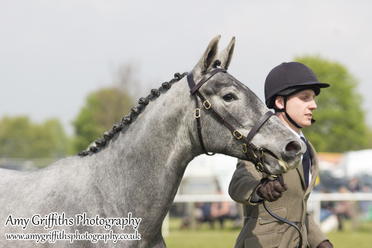 East Riding Country Fair- Day 1