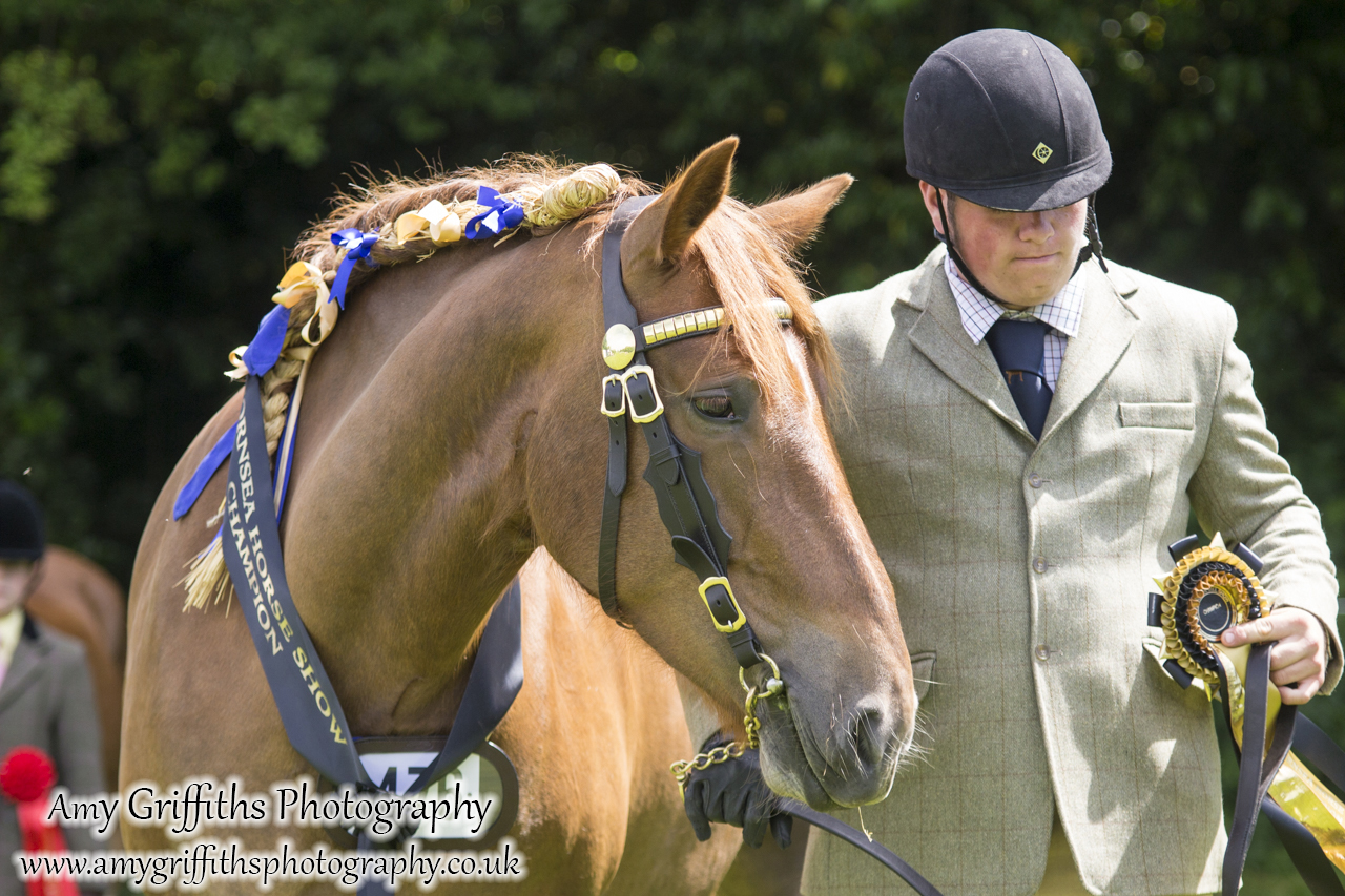 Hornsea Horse and Dog Show Day 1- Amy Griffiths Photography