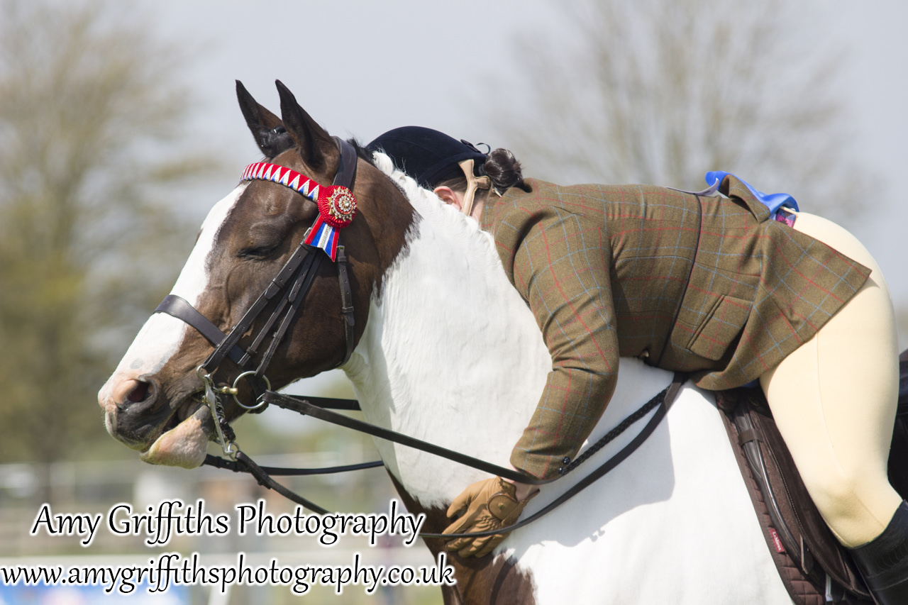 East Riding Country Fair- Day 2