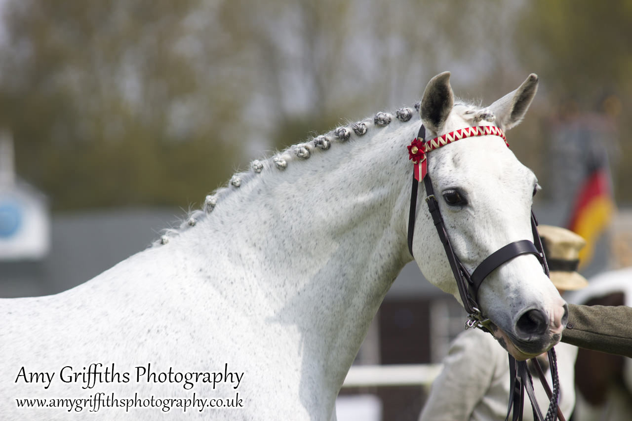 East Riding Country Fair- Day 1