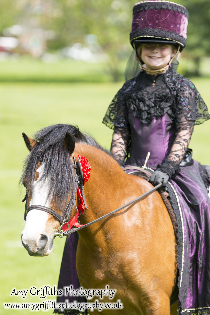 Hornsea Horse and Dog Show Day 1- Amy Griffiths Photography