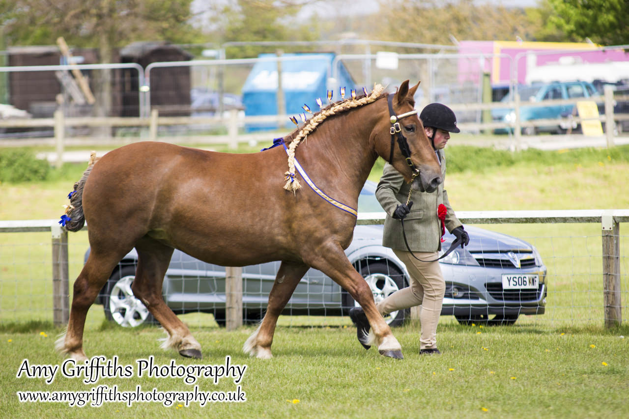 East Riding Country Fair- Day 1