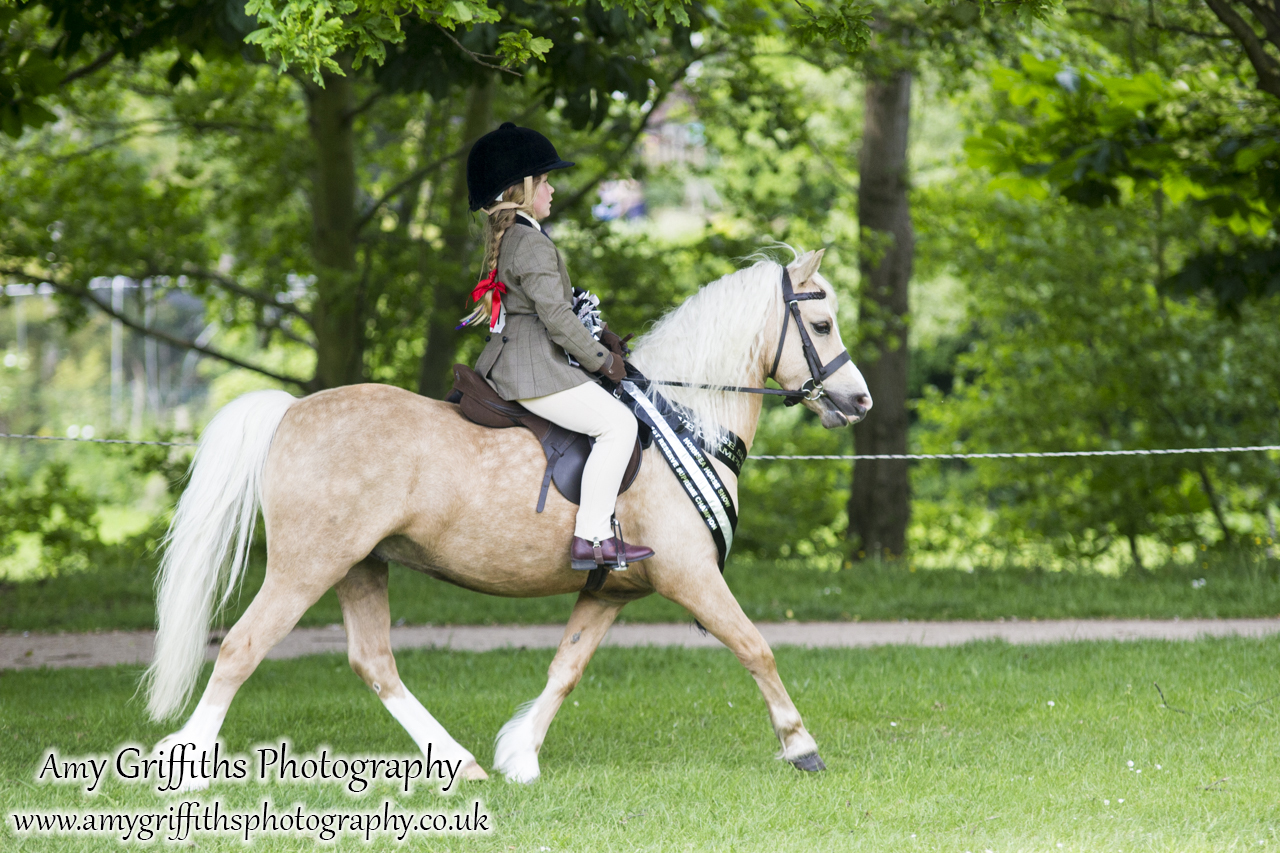 Hornsea Horse and Dog Show Day 1- Amy Griffiths Photography