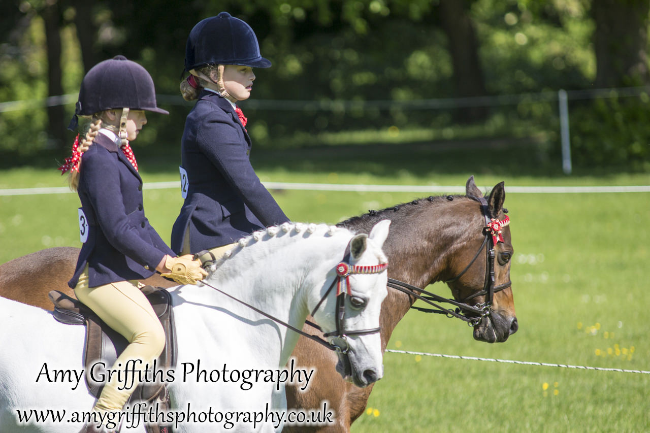 Hornsea Horse and Dog Show Day 2- Amy Griffiths Photography