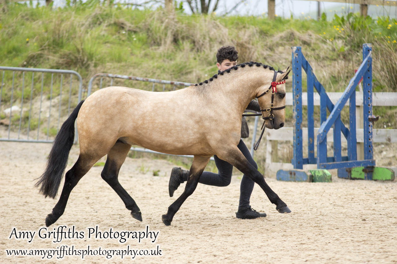 Amateur of the Year Show 2017- Amy Griffiths Photography