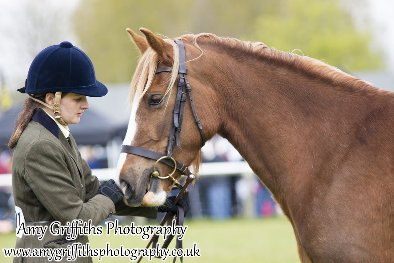 East Riding Country Fair- Day 1