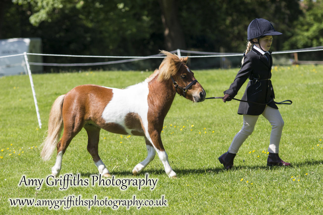 Hornsea Horse and Dog Show Day 2- Amy Griffiths Photography