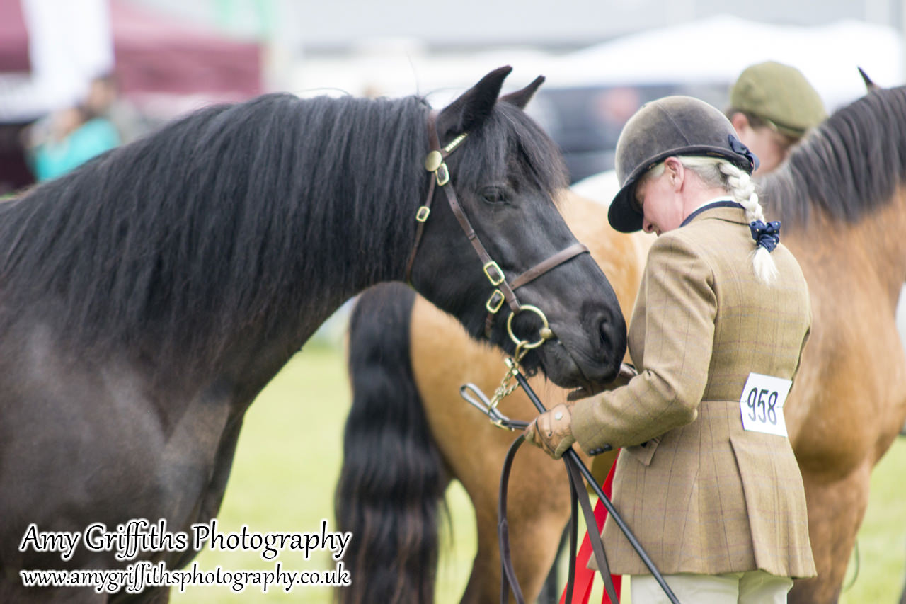 East Riding Country Fair- Day 1