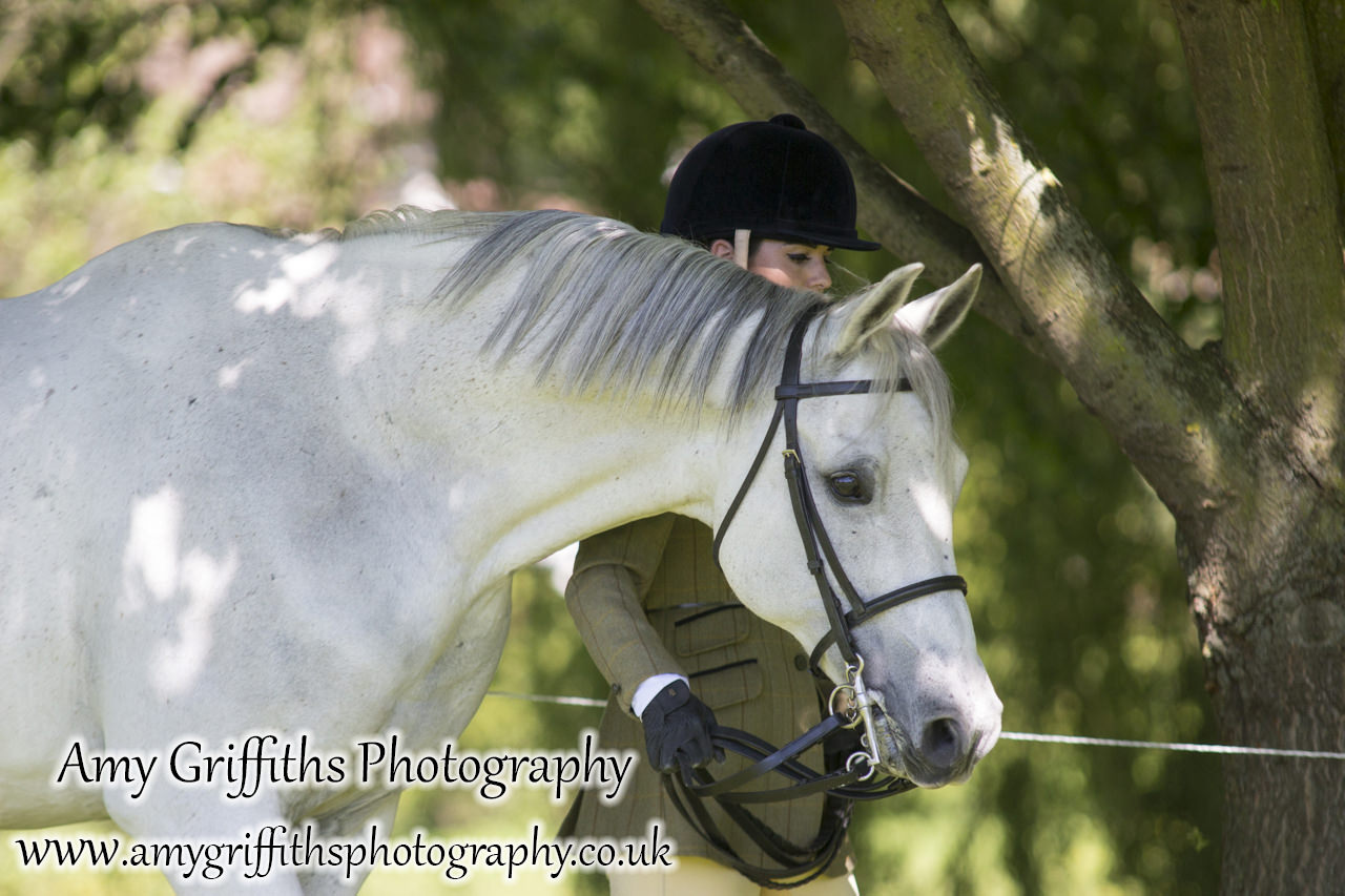 Hornsea Horse and Dog Show Day 2- Amy Griffiths Photography