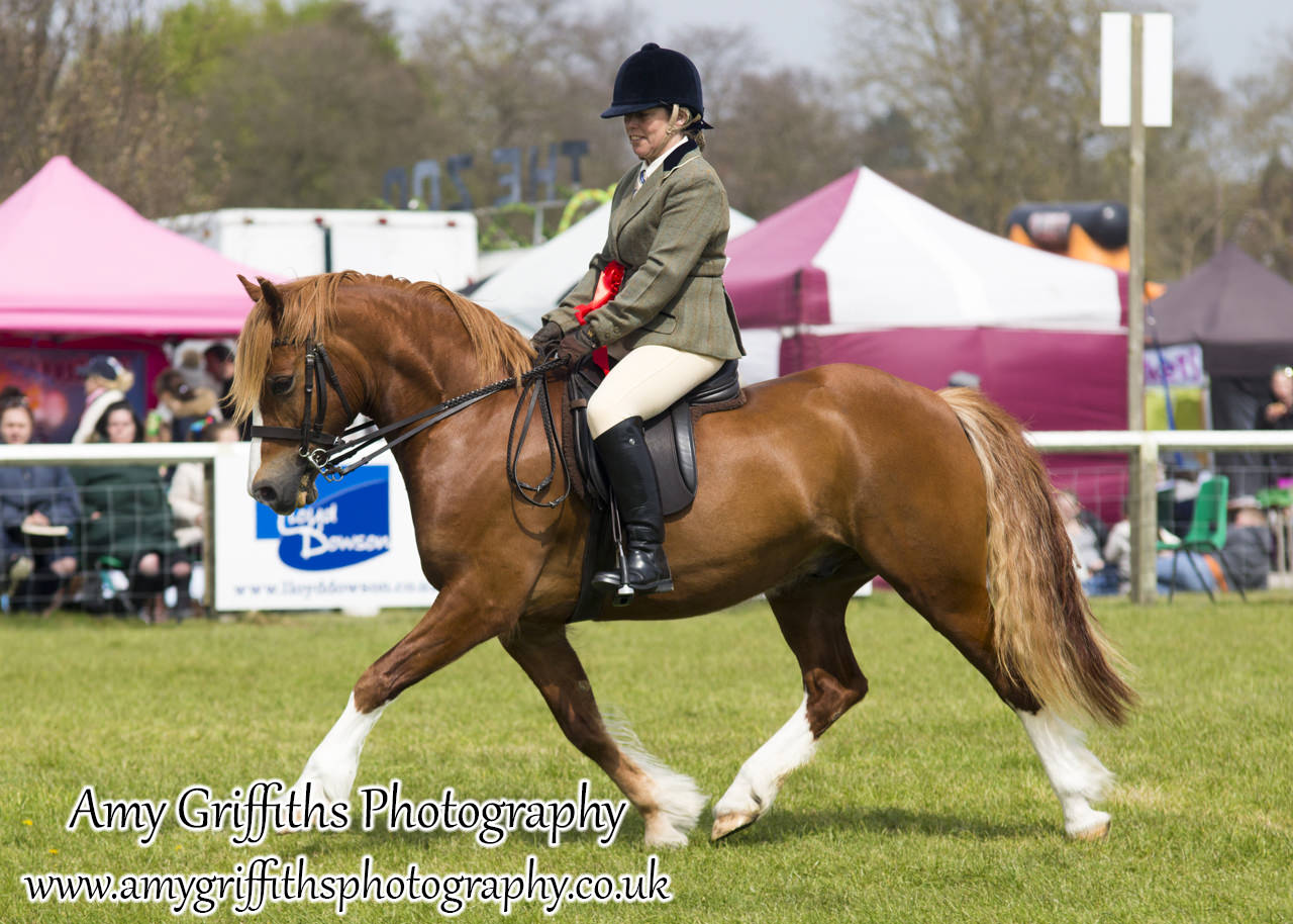 East Riding Country Fair- Day 2