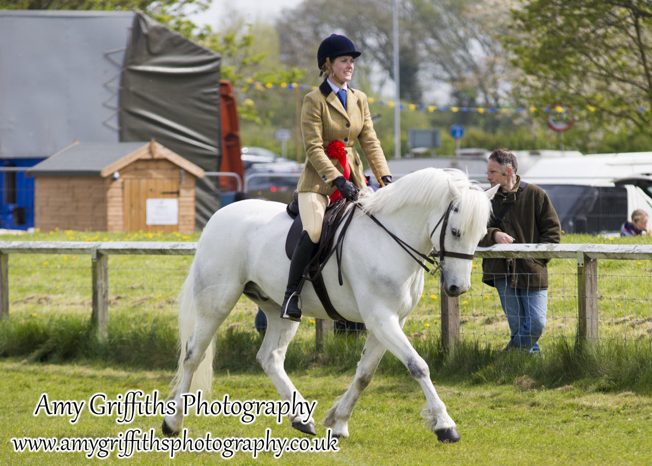 East Riding Country Fair- Day 2