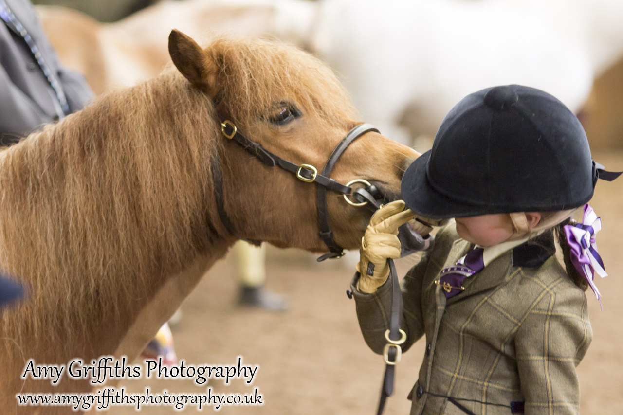 Amateur of the Year Show 2017- Amy Griffiths Photography