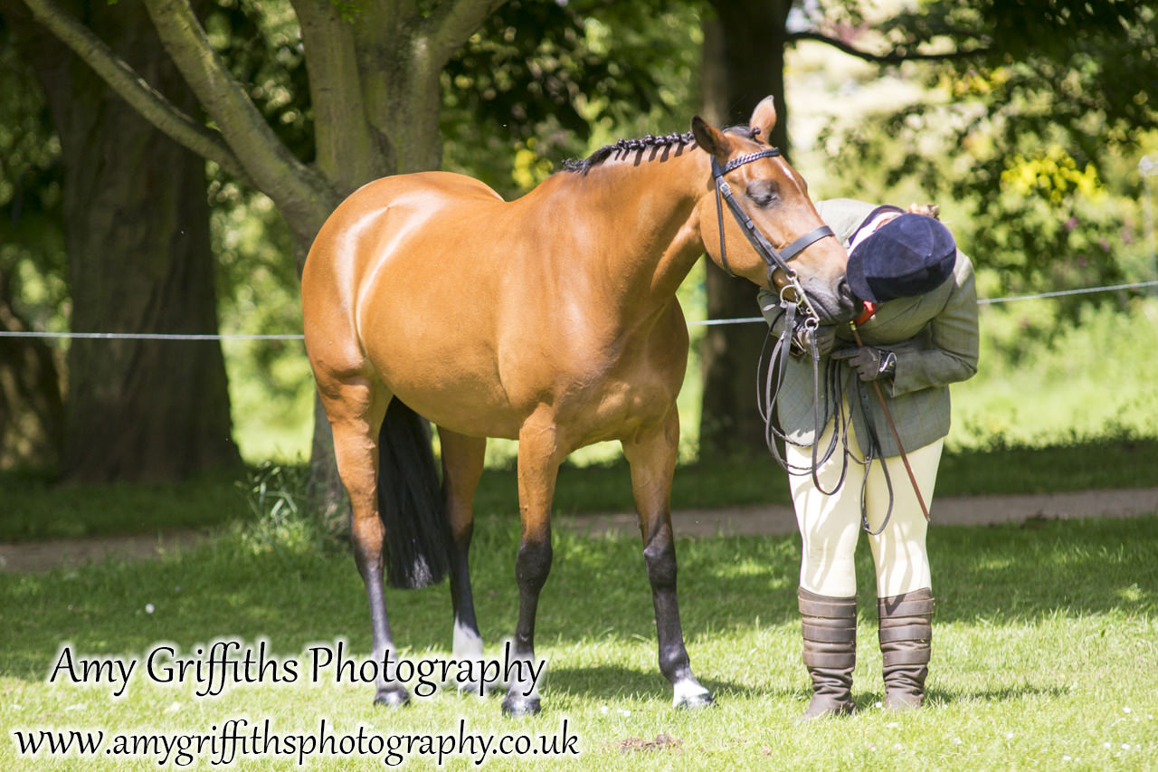 Hornsea Horse and Dog Show Day 2- Amy Griffiths Photography