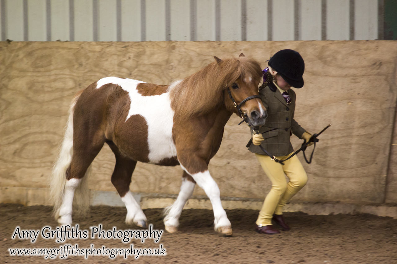 Amateur of the Year Show 2017- Amy Griffiths Photography