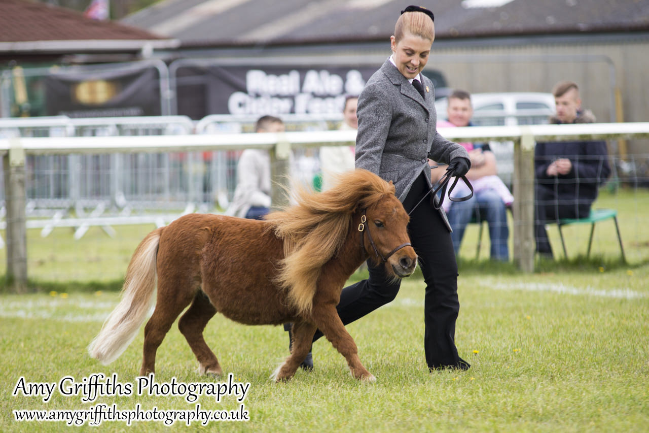 East Riding Country Fair- Day 1