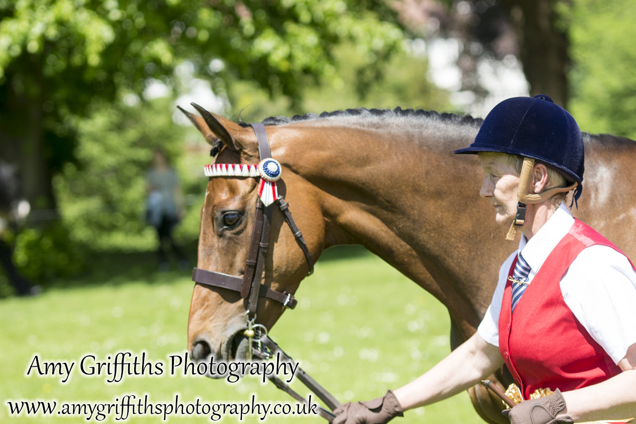 Hornsea Horse and Dog Show Day 2- Amy Griffiths Photography