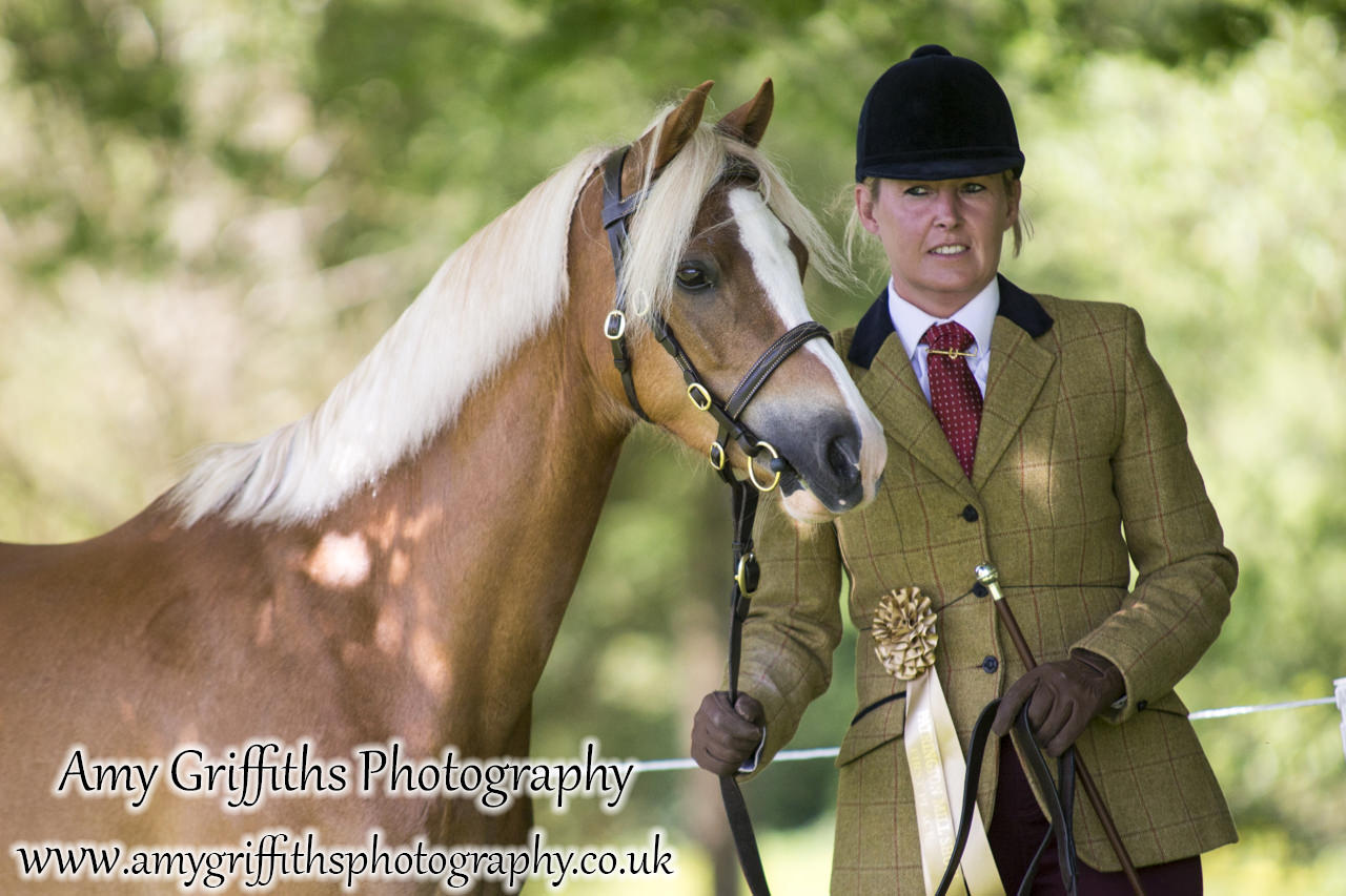 Hornsea Horse and Dog Show Day 2- Amy Griffiths Photography