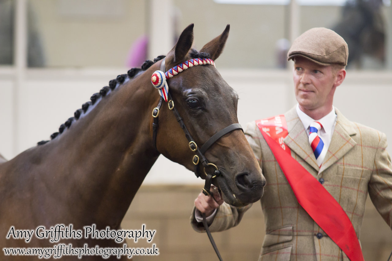 Amateur of the Year Show 2017- Amy Griffiths Photography