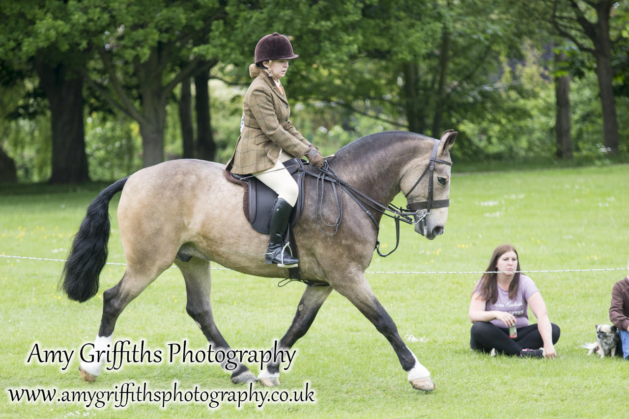 Hornsea Horse and Dog Show Day 2- Amy Griffiths Photography