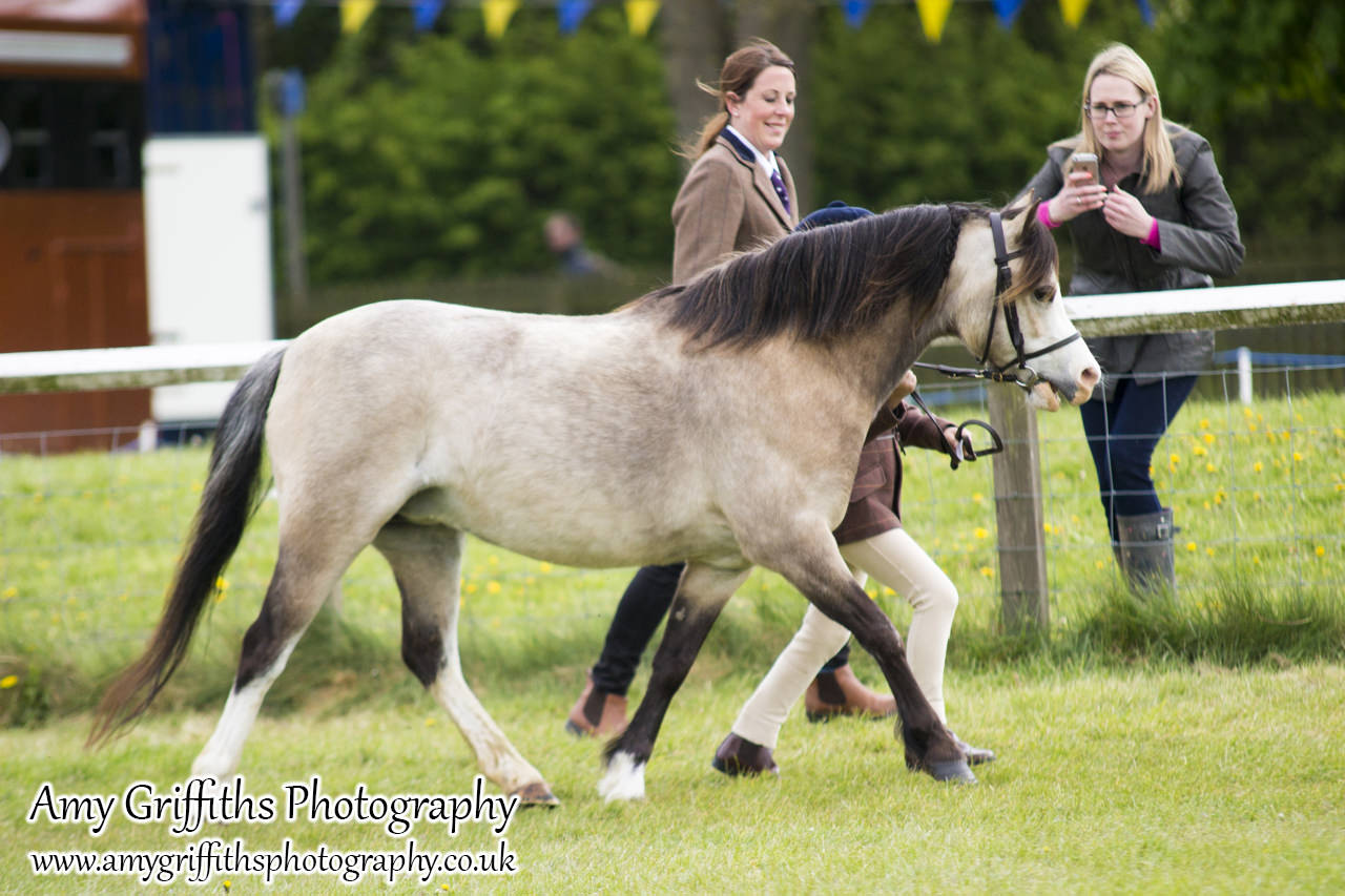 East Riding Country Fair- Day 1