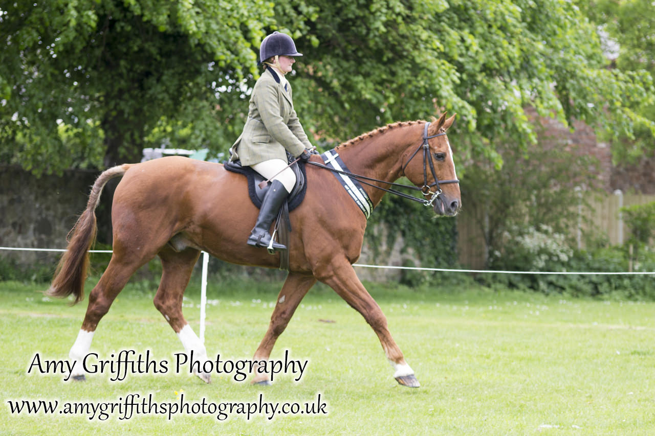 Hornsea Horse and Dog Show Day 2- Amy Griffiths Photography