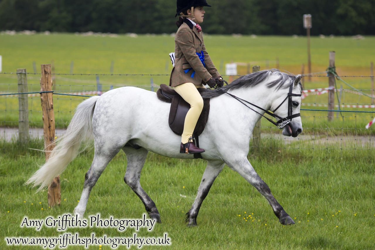 Duncombe Park Country Fair & Sinnington Pony Club- Amy Griffiths Photography