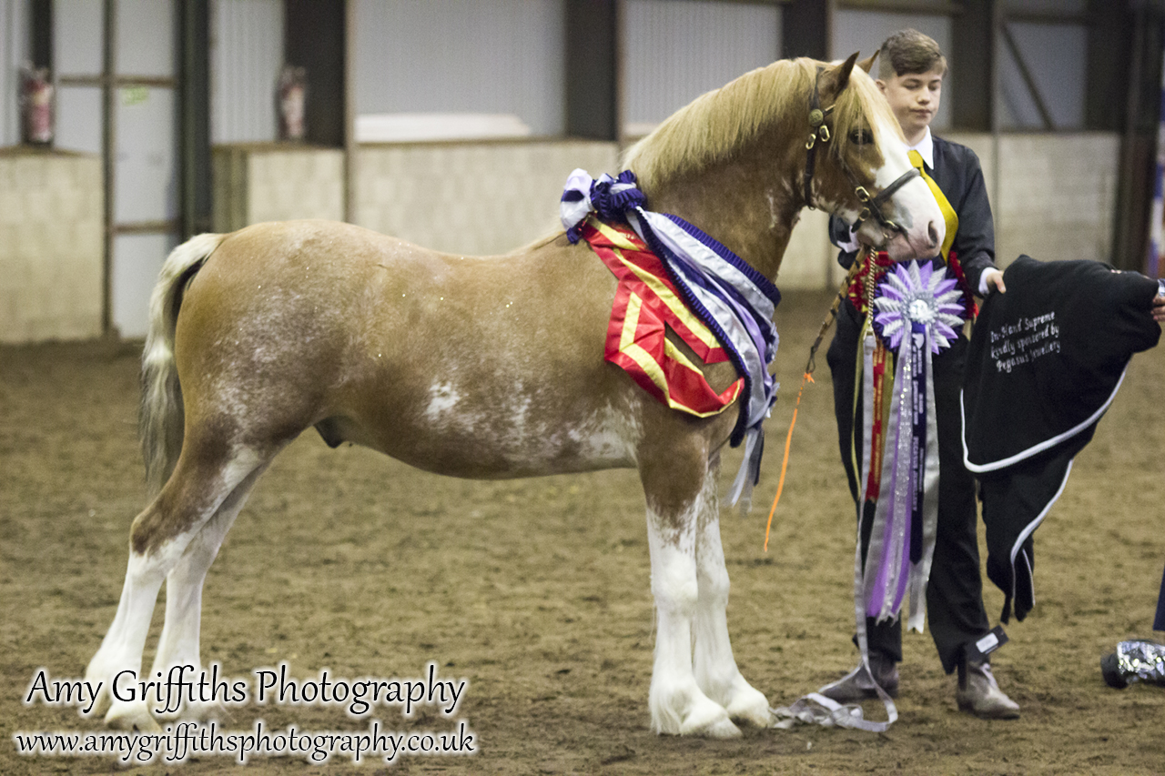 Amateur of the Year Show 2017- Amy Griffiths Photography