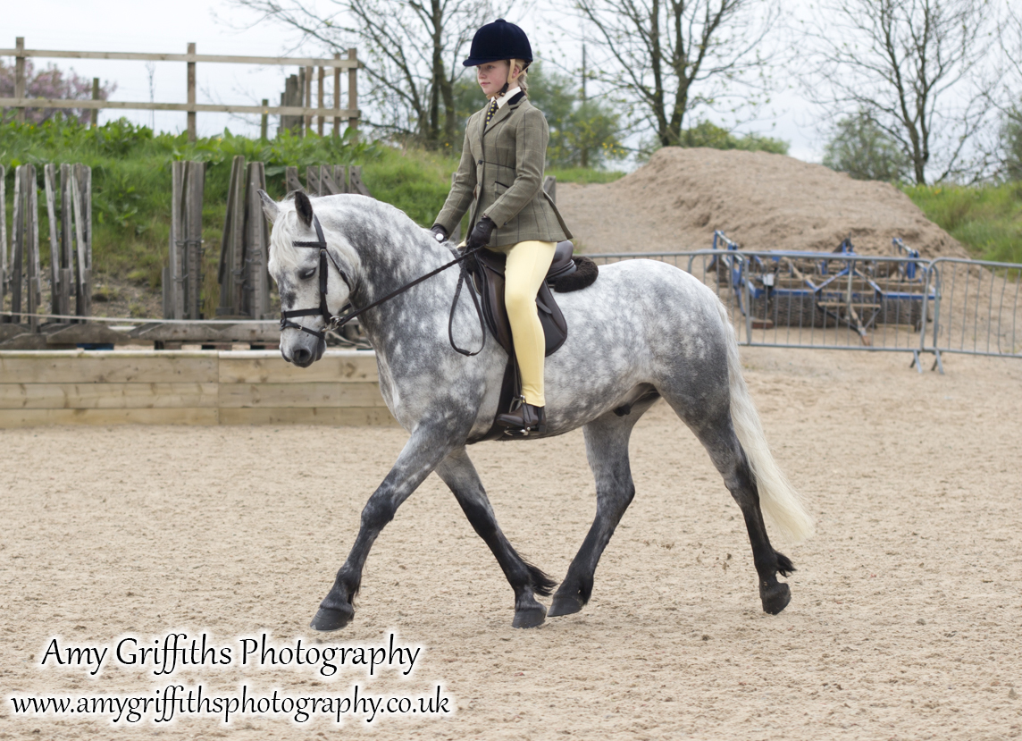 Amateur of the Year Show 2017 Day 2 Ridden- Amy Griffiths Photography