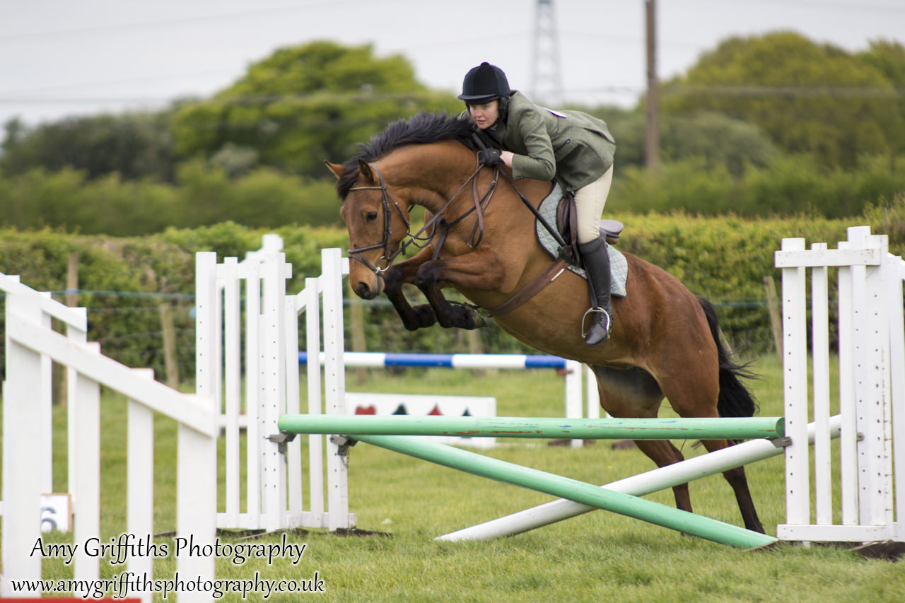 Raskelf Show & Gymkhana 2017- Amy Griffiths Photography