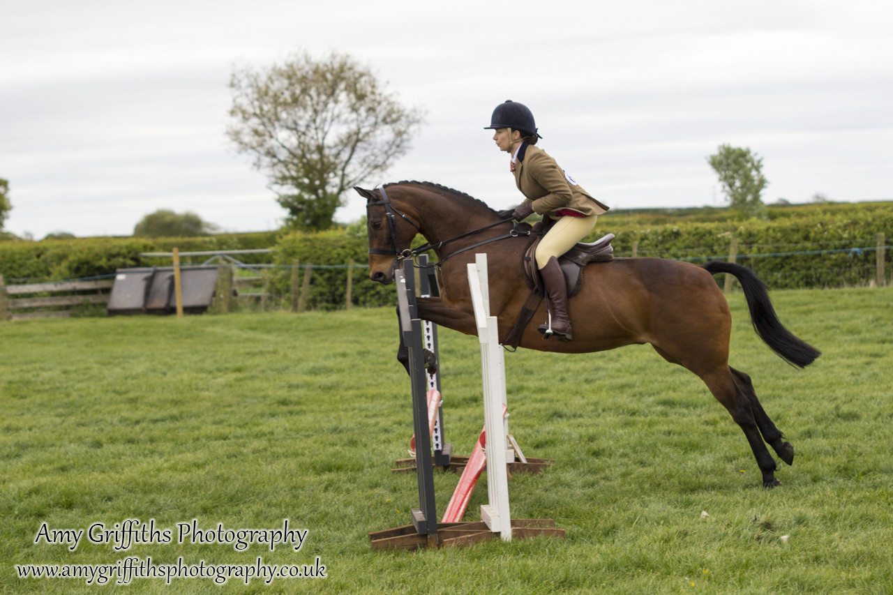 Raskelf Show & Gymkhana 2017- Amy Griffiths Photography