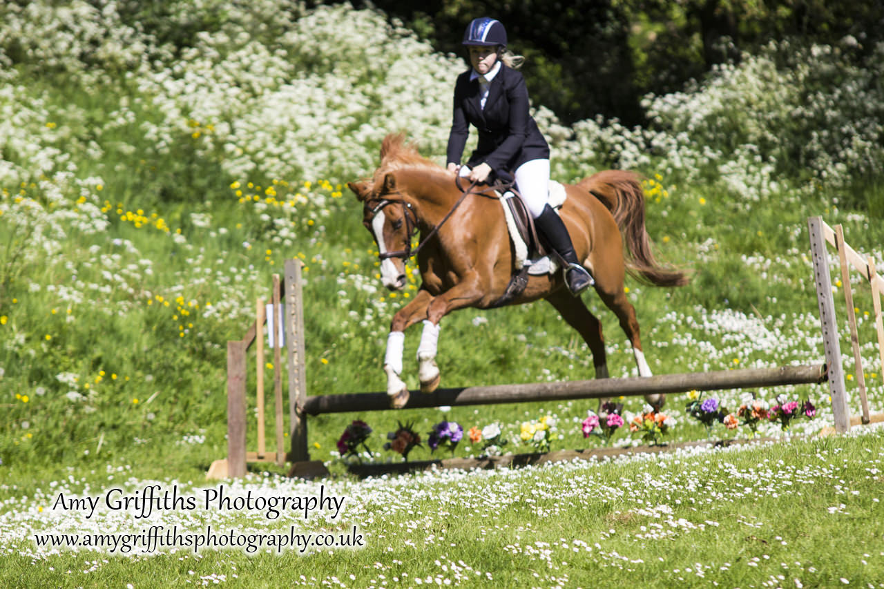 Hornsea Horse and Dog Show Day 2- Amy Griffiths Photography