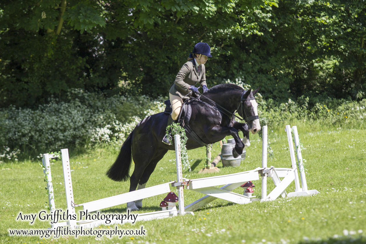 Hornsea Horse and Dog Show Day 2- Amy Griffiths Photography