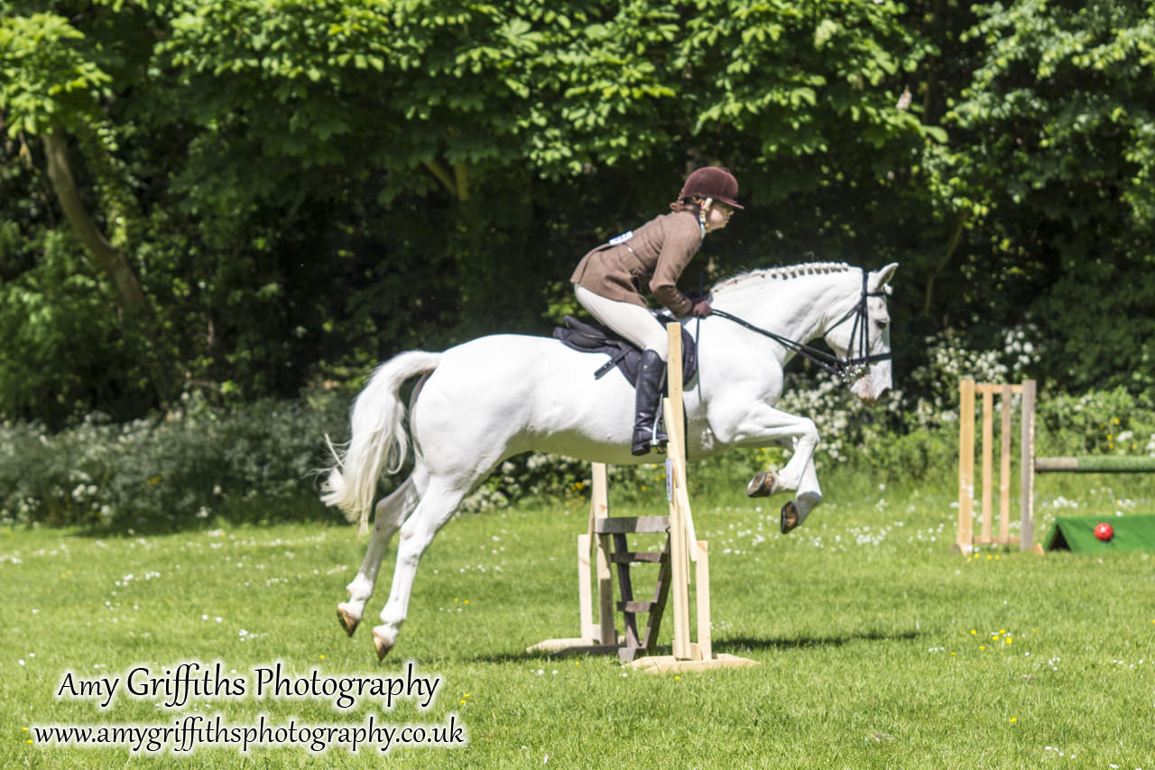 Hornsea Horse and Dog Show Day 2- Amy Griffiths Photography