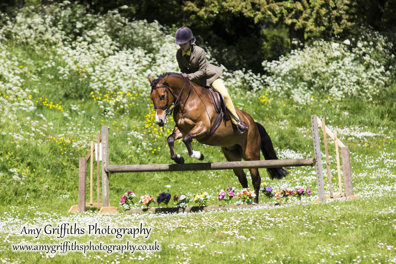 Hornsea Horse and Dog Show Day 2- Amy Griffiths Photography